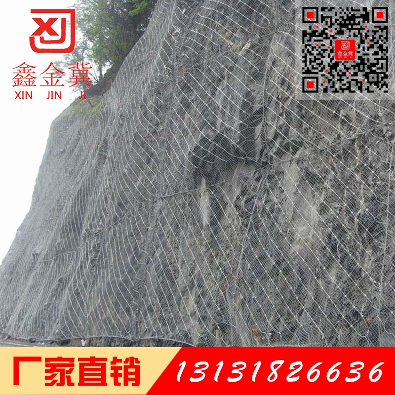 主動(dòng)防護(hù)網(wǎng).jpg