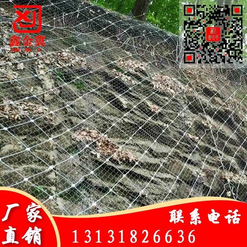 主動防護網.jpg