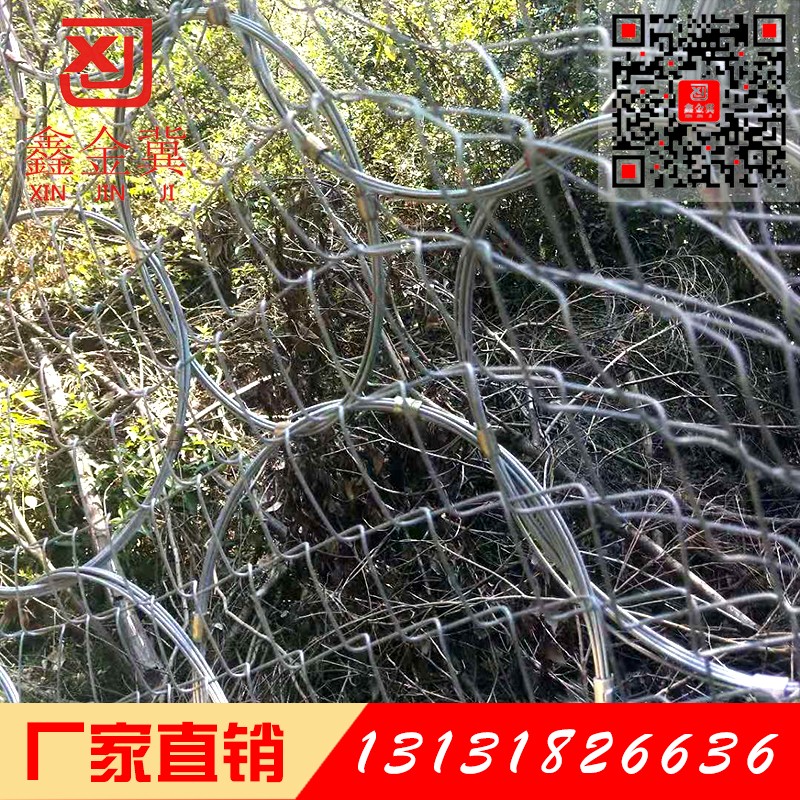 環形邊坡防護網.jpg