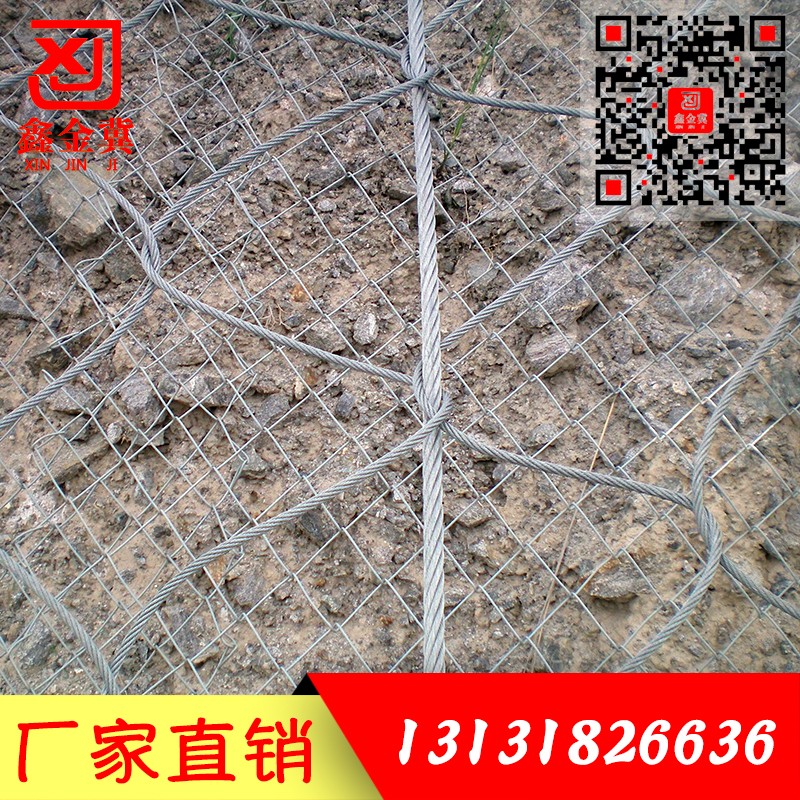 主動(dòng)防護(hù)網(wǎng).jpg
