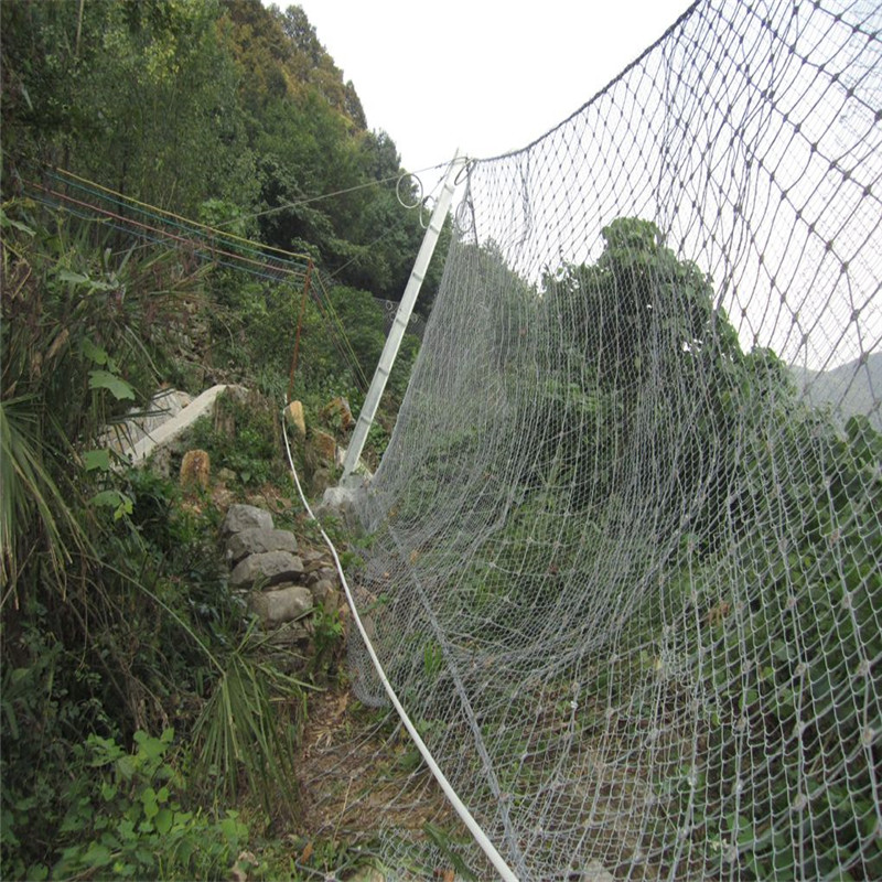 平陽生態綠化被動網 虎易網.jpg
