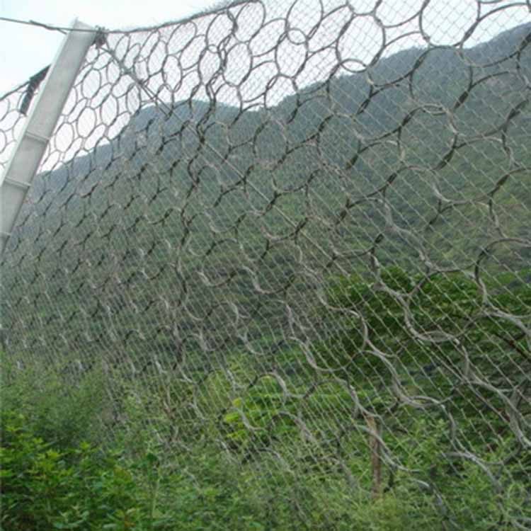 平陽(yáng)生態(tài)綠化被動(dòng)網(wǎng) 愛(ài)喇叭網(wǎng).jpg